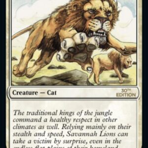 Savannah Lions