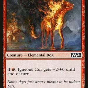 Igneous Cur