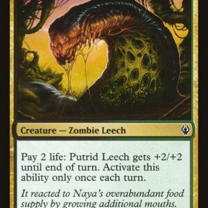 Putrid Leech