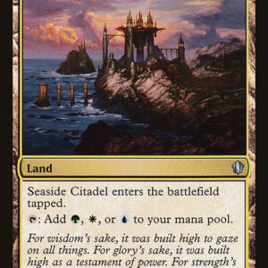 Seaside Citadel