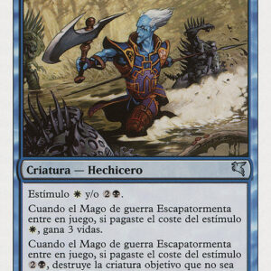 Stormscape Battlemage