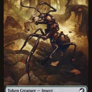 Insect