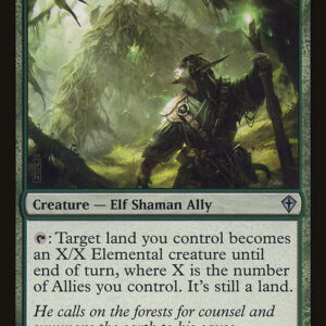 Vastwood Animist