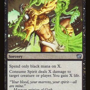 Consume Spirit