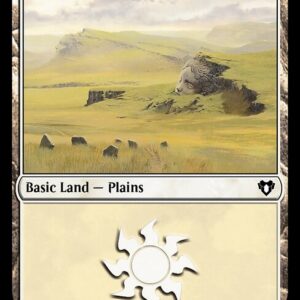 Plains