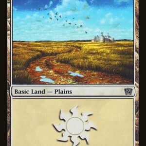 Plains