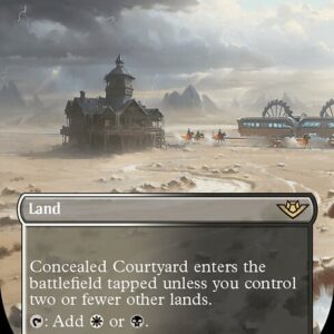 Concealed Courtyard