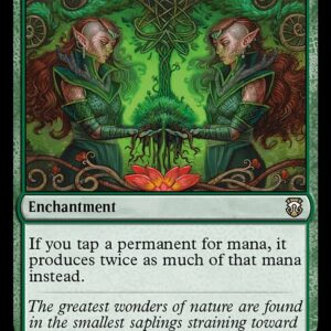 Mana Reflection