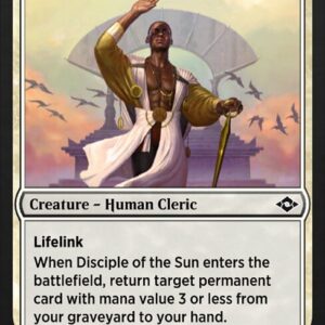 Disciple of the Sun
