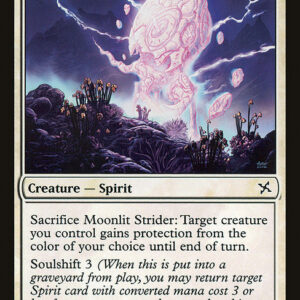Moonlit Strider