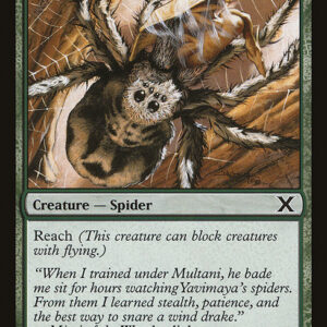 Giant Spider