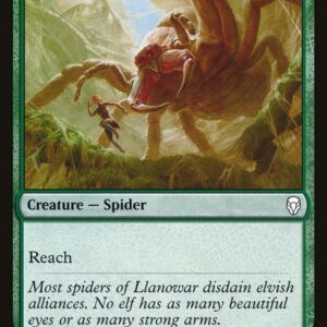 Mammoth Spider