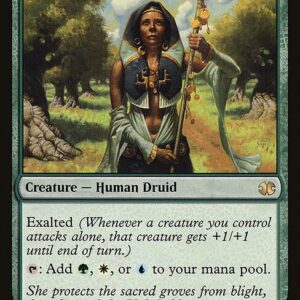 Noble Hierarch