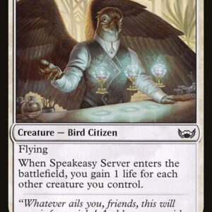 Speakeasy Server
