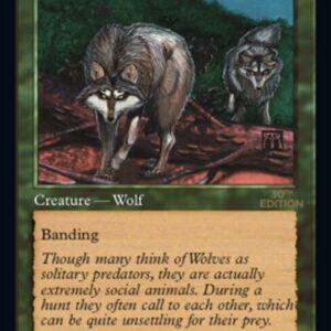 Timber Wolves