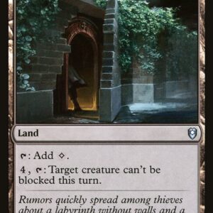 Rogue's Passage
