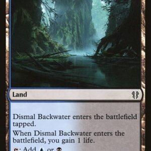 Dismal Backwater