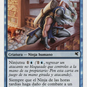Ninja of the Deep Hours