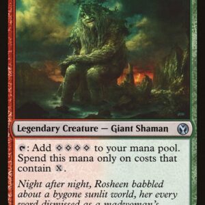 Rosheen Meanderer