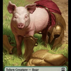 Boar