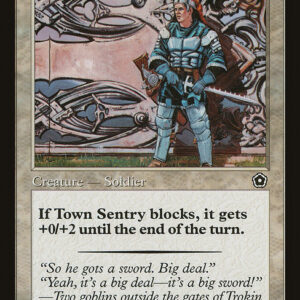 Town Sentry