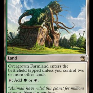 Overgrown Farmland