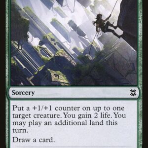 Scale the Heights