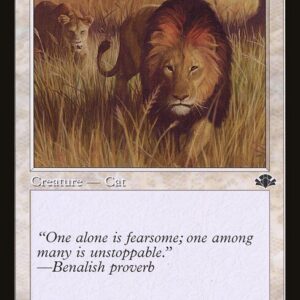Savannah Lions