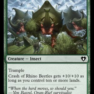 Crash of Rhino Beetles