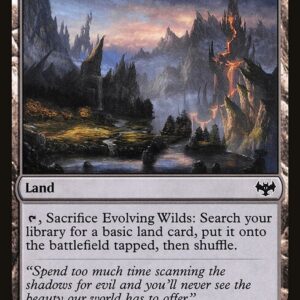 Evolving Wilds