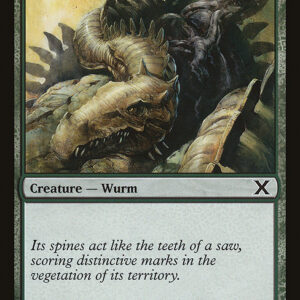 Spined Wurm