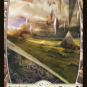 Plains