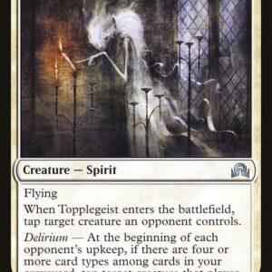 Topplegeist