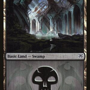 Swamp
