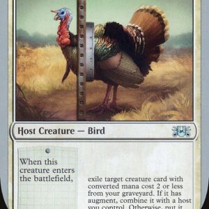 Strutting Turkey