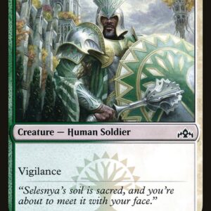 Vernadi Shieldmate