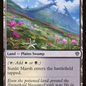 Sunlit Marsh