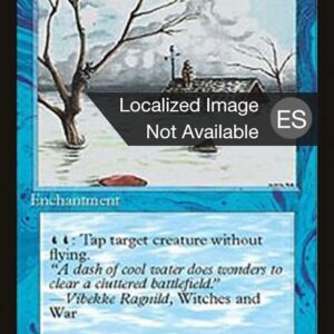 Flood