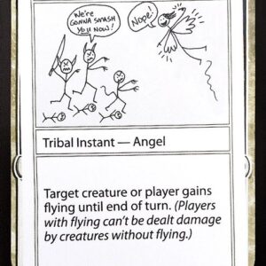 Sarah's Wings