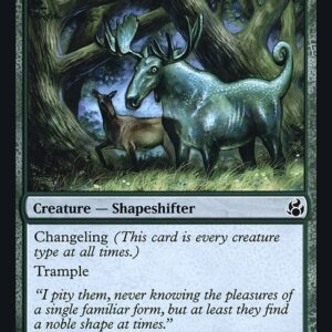 Game-Trail Changeling