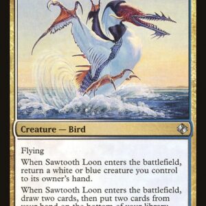 Sawtooth Loon