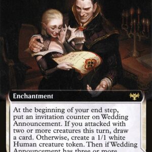 Wedding Announcement // Wedding Festivity