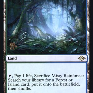 Misty Rainforest