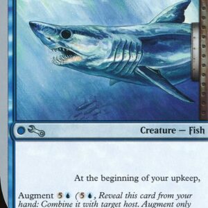 Half-Shark, Half-