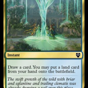 Growth Spiral