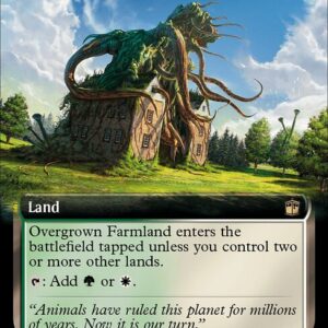 Overgrown Farmland