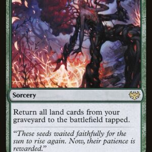Splendid Reclamation