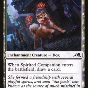Spirited Companion