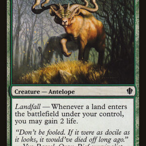 Grazing Gladehart