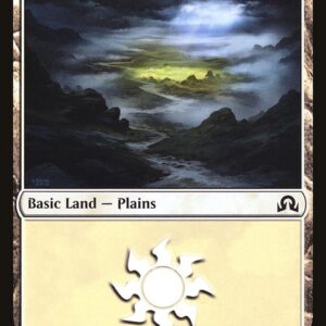 Plains